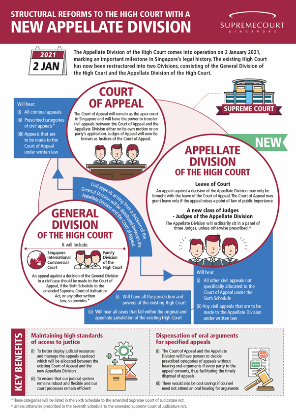 Structural Reforms to the High Court with a New Appellate Division